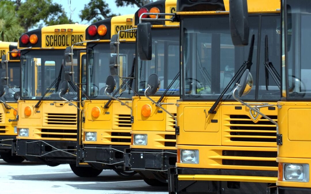 Cargos criminales contra adolescente por golpear a niña en autobús