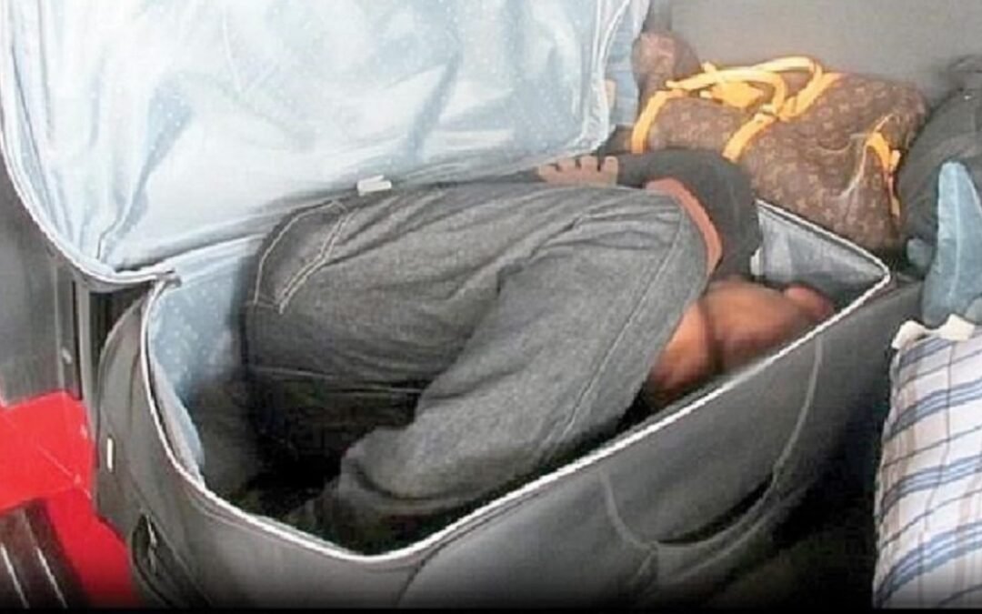 Desmantelan red que transportaba a migrantes en maletas