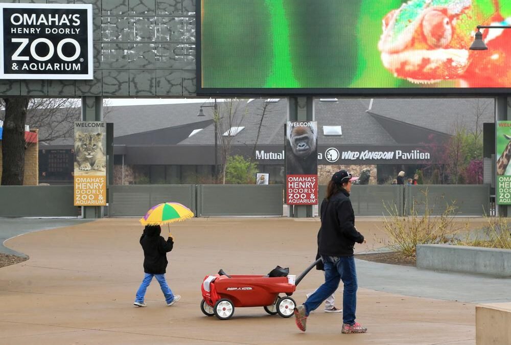 Caso de gripe aviar hace que el zoológico de Omaha cierre varias exhibiciones