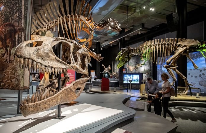 Exposición en Miami muestra los “exóticos” dinosaurios del sur