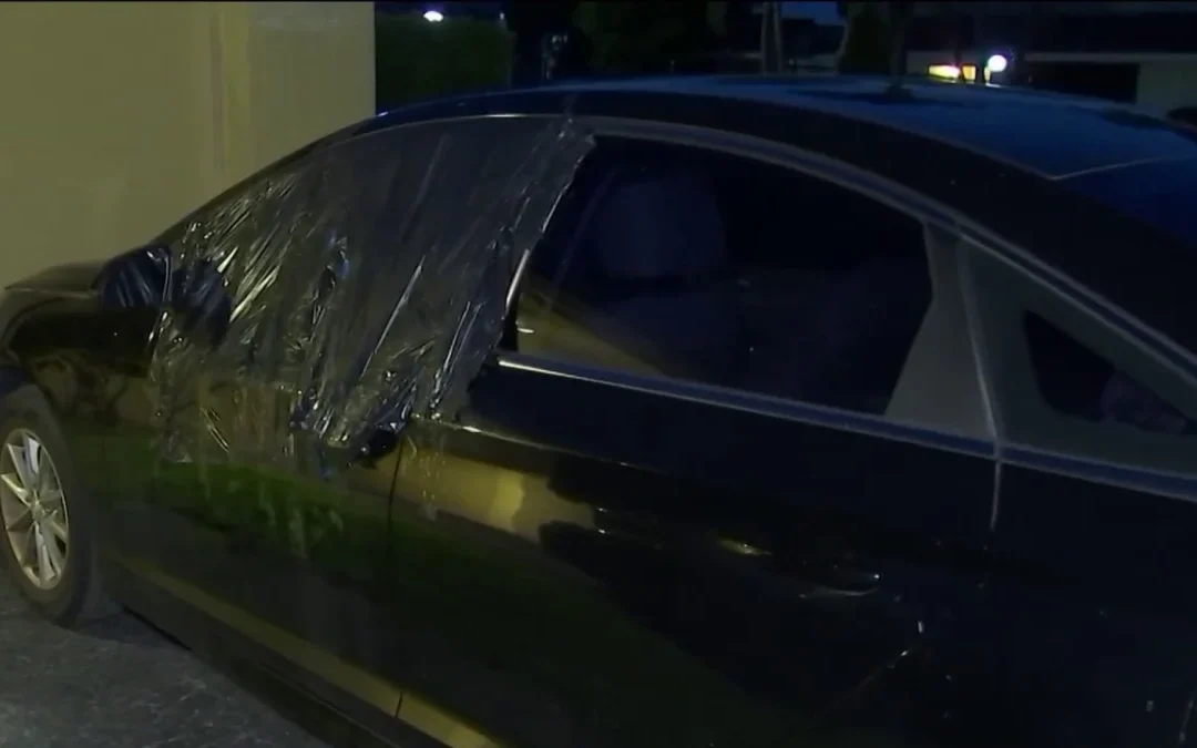Investigan vandalización de carros en Miami Beach