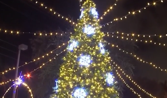 Hialeah celebró iluminación del árbol de navidad