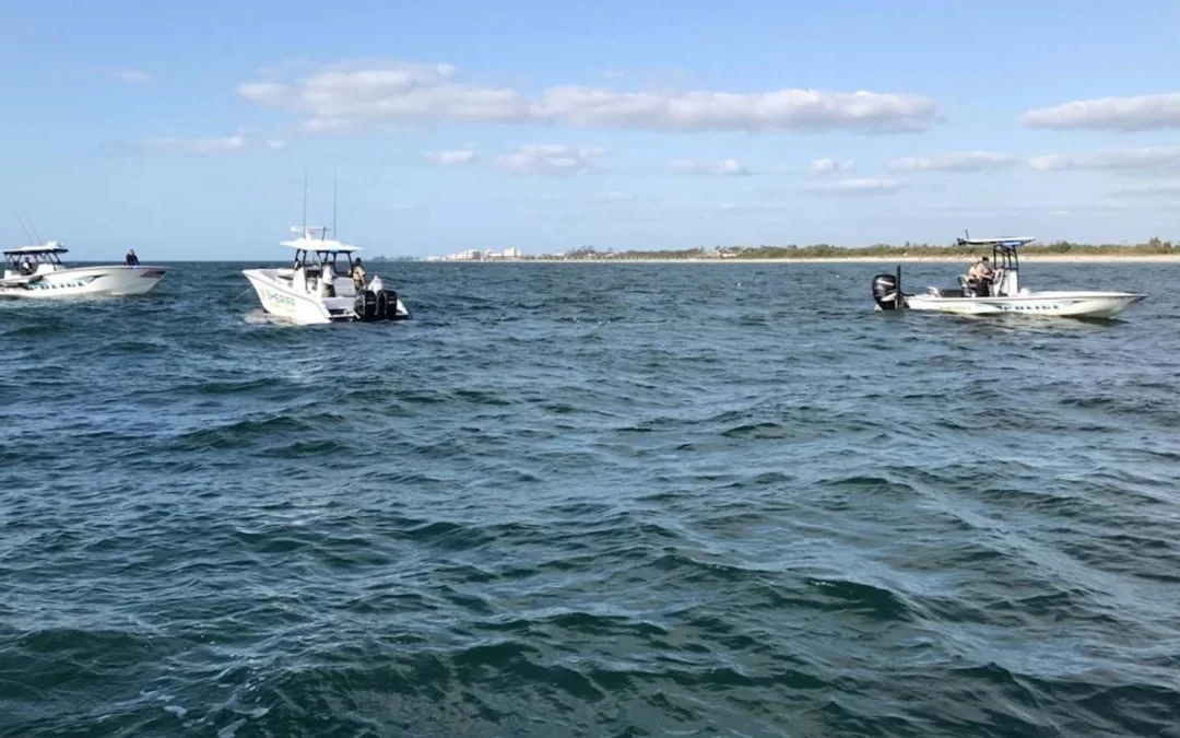 Dos muertos y un desaparecido tras choque de avioneta