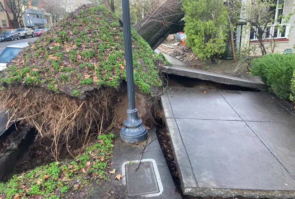 California golpeada por tormentas y se prepara para posibles inundaciones