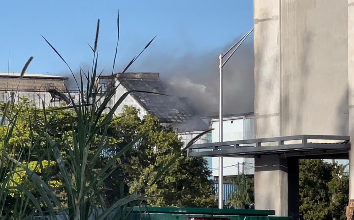 WhatsApp Image 2023-02-12 at 9.09.20 PM