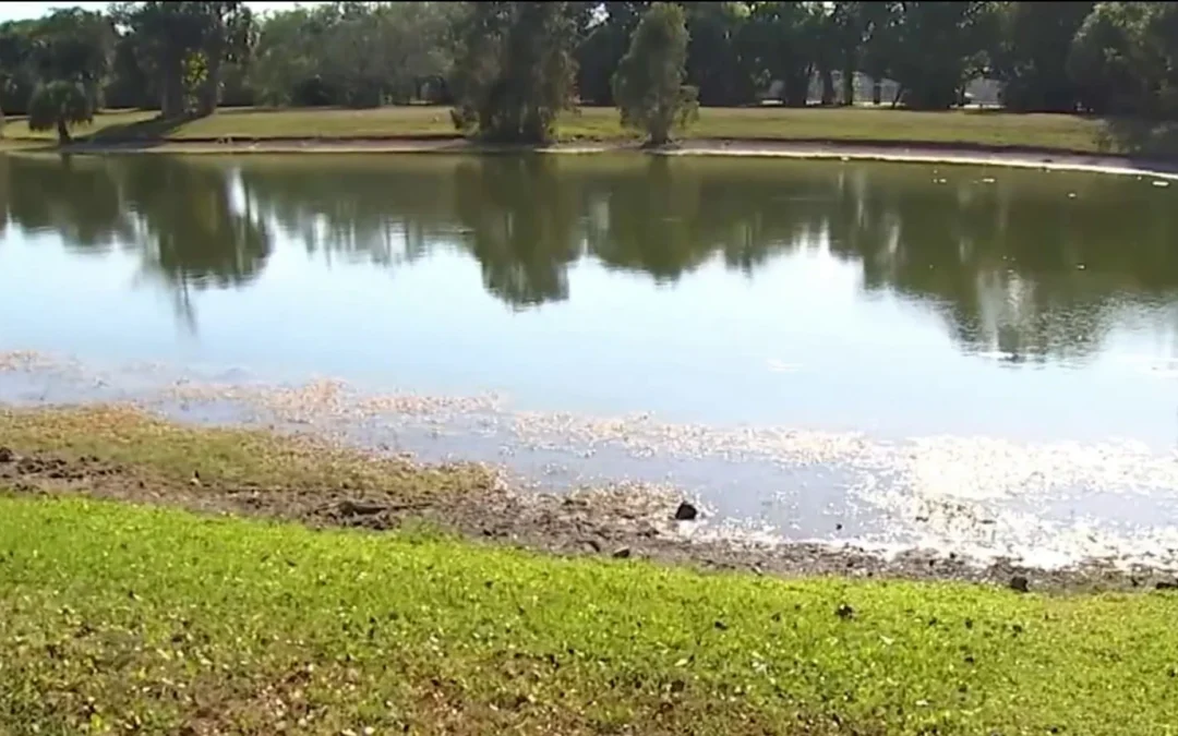 Encuentran cuerpo flotando en canal de un vecindario privado del sur de Florida