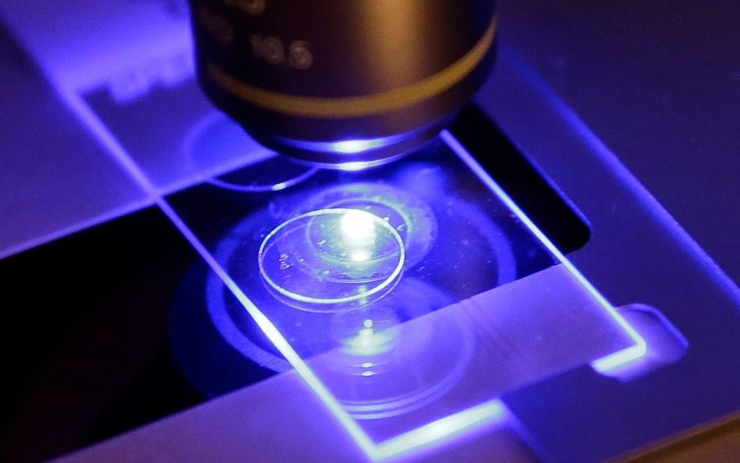 Florida entra en alerta de salud por hongo resistente a los medicamentos