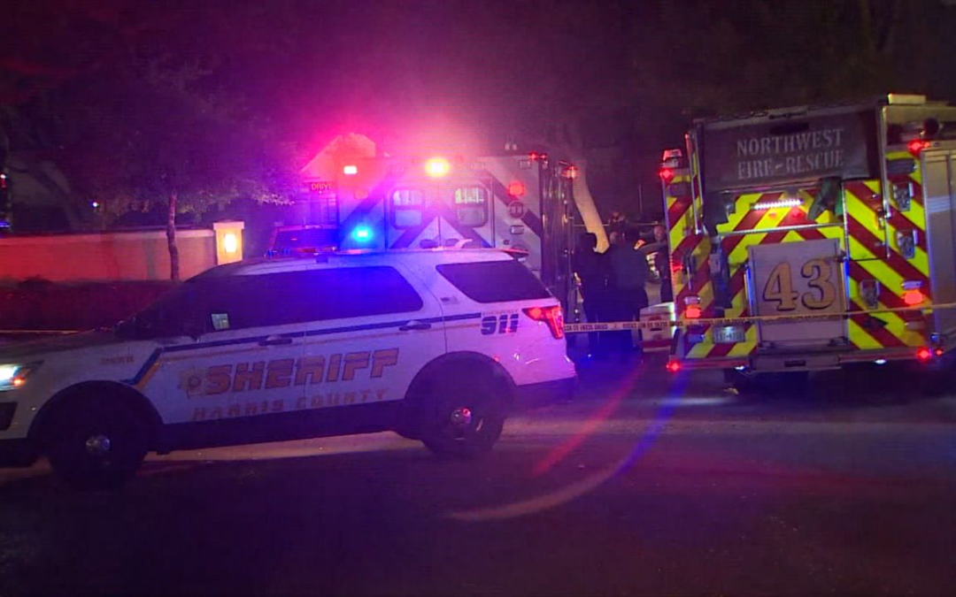 Niña de 3 años disparó mortalmente a su hermana de 4