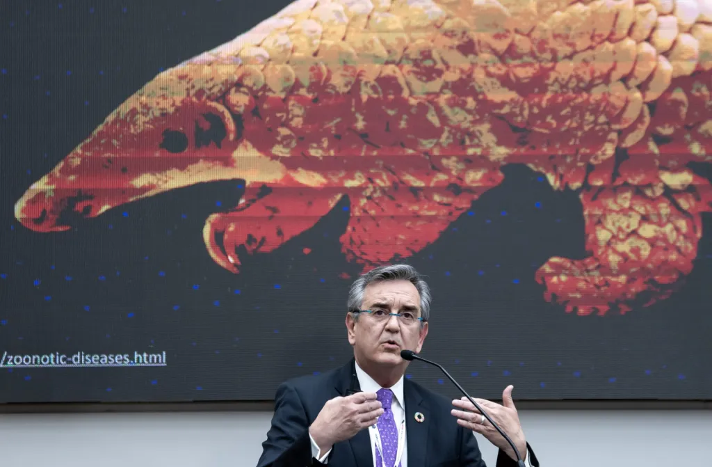 El mundo afrontará nuevas pandemias si no se respeta la biodiversidad