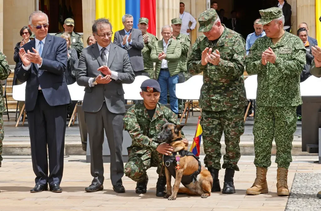 Condecoraron a madre del perro que se perdió en la búsqueda de cuatro menores indígenas