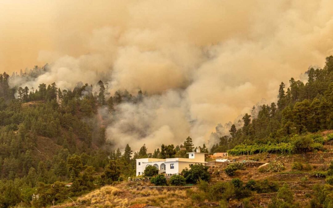 Miles de personas desalojadas tras incendio forestal en La Palma