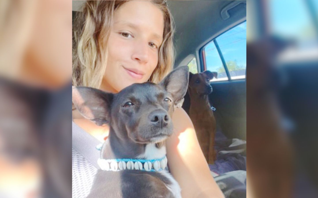 Encontraron perrito desaparecido en el aeropuerto de Atlanta hace varias semanas