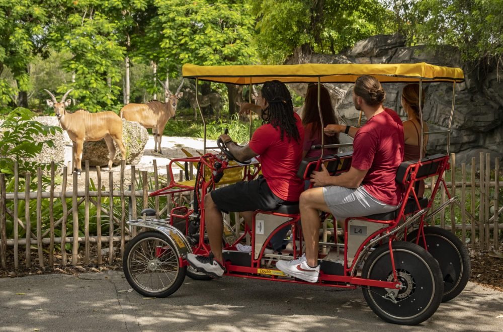 Piden cancelar contrato de parque acuático en Zoo Miami