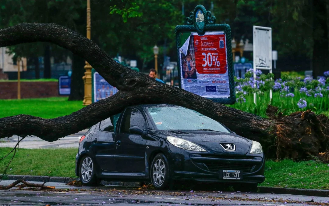 Muertos, múltiples heridos y numerosos destrozos tras tormenta en Argentina