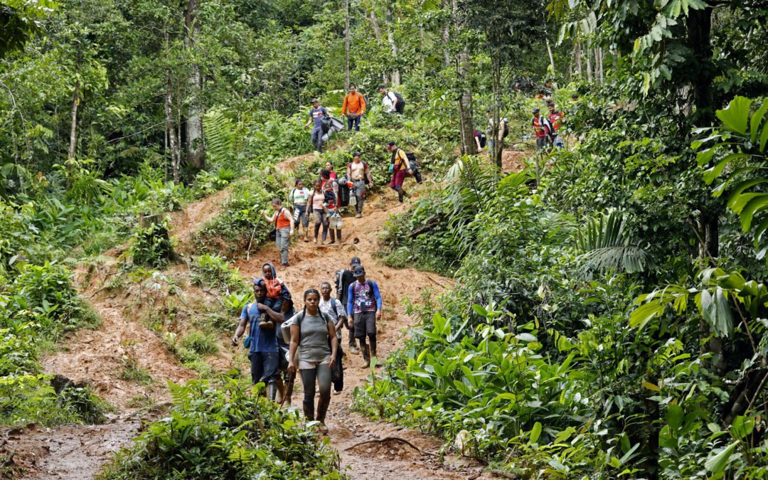 Casi 70 mil migrantes han cruzado el Darién en 2024, 22.000 más que un año antes