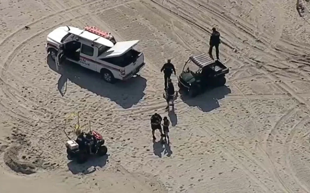 Encuentran restos de un feto humano en playa de Miami Beach