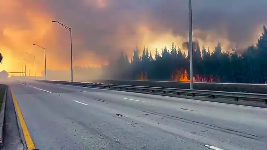 Incendios forestales en Miami-Dade están bajo control