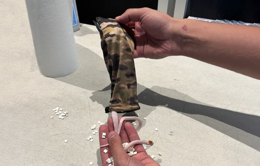 Pasajero ocultó serpientes en pantalones en Aeropuerto de Miami