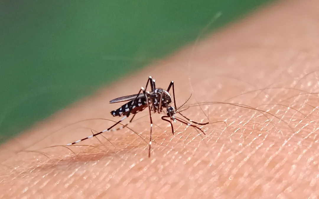 Emiten alerta sanitaria en sur de Florida por dengue