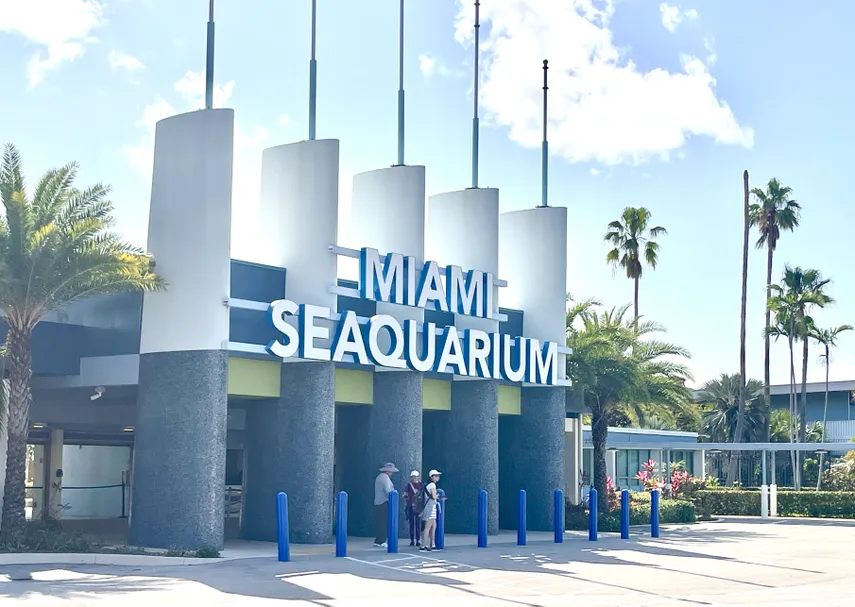Miami Seaquarium rechaza demanda de desalojo del Condado