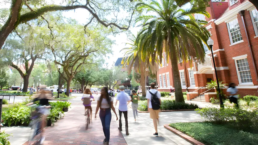Universidad de Florida recibe cinco estrellas en el ranking de las mejores del país
