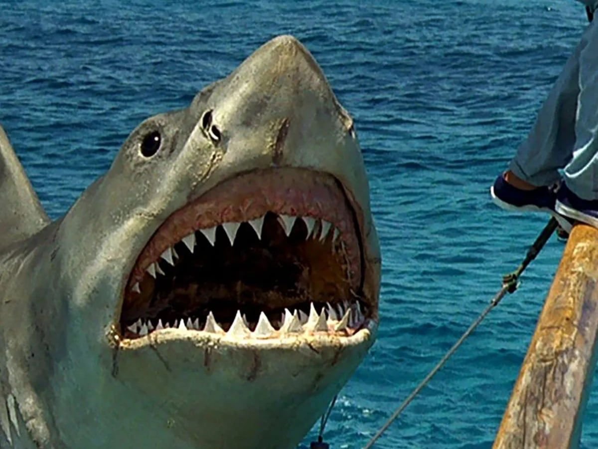 WhatsApp Image 2024-06-25 at 9.44.36 PM