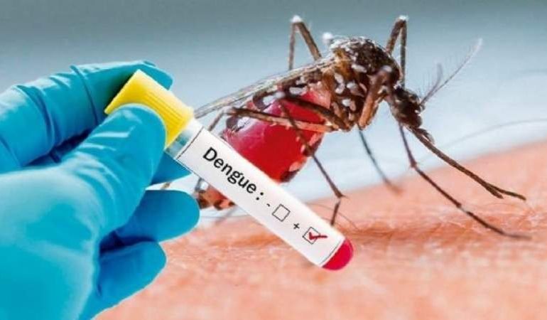 Emiten alerta epidemiológica tras confirmar casos de dengue en los Cayos de Florida