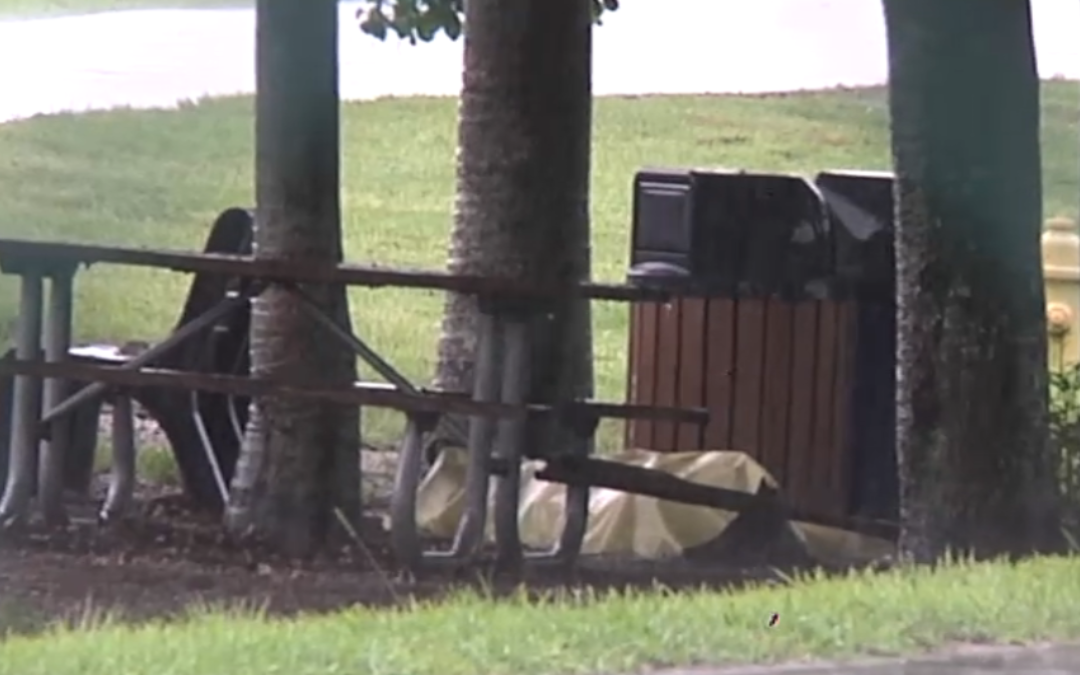 Hombre murió tras ser alcanzado por un rayo en un parque de Davie