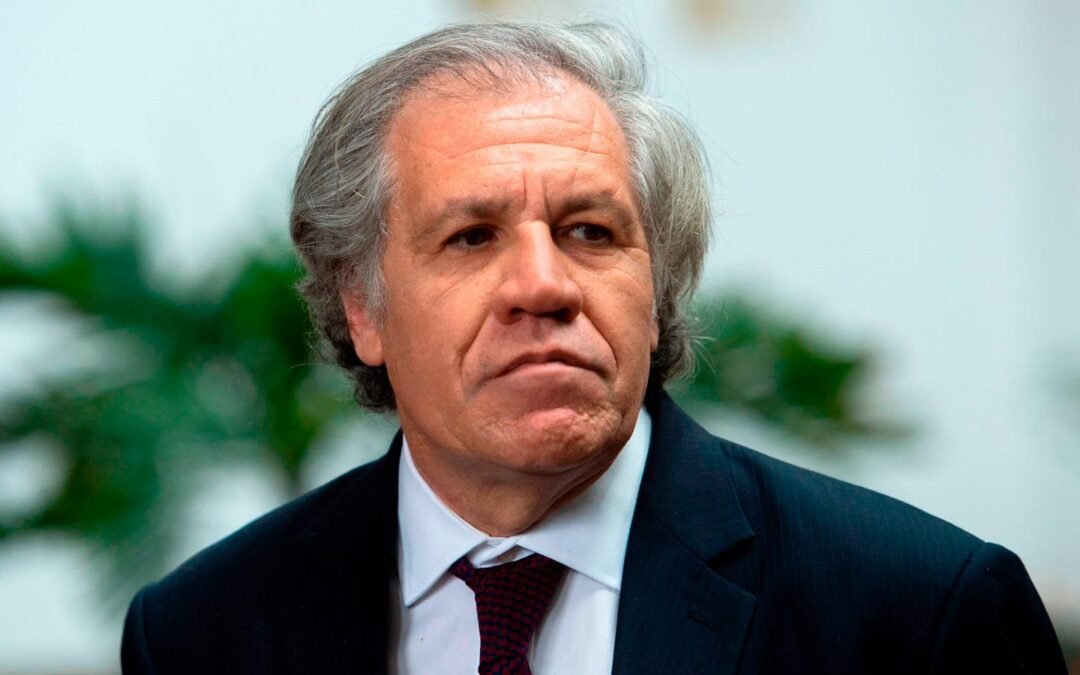 OEA le pide a Maduro aceptar la derrota o nuevas elecciones con estas condiciones