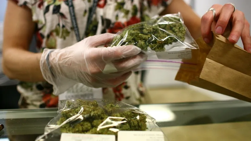 Trump apoya la legalización del cannabis recreativo para adultos en Florida