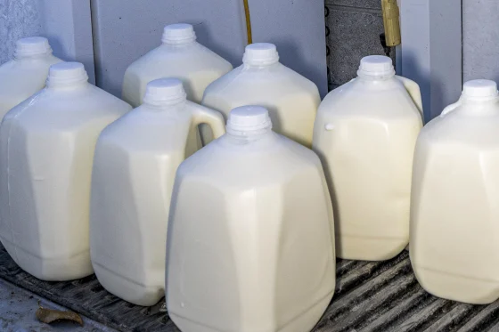 Registran gripe aviar en un segundo lote de leche no pasteurizada en California
