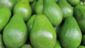 Tres detenidos cuando robaban aguacates en Miami-Dade